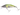 Yuga 50S