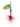 Shelt Blade