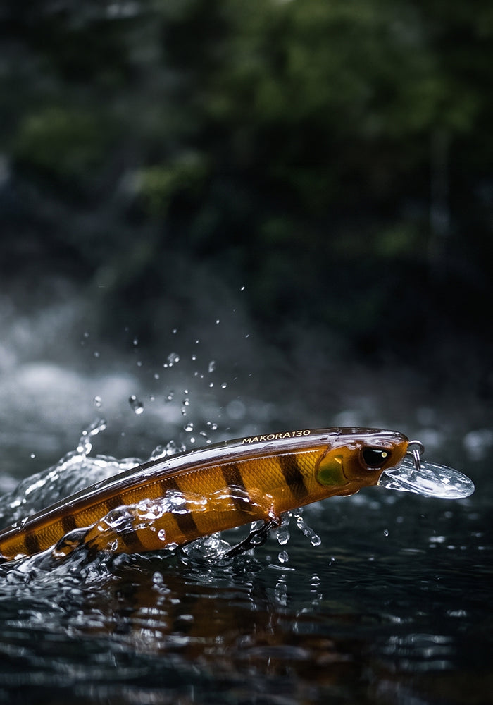 A close-up action shot of a small fish with bright orange and black stripes jumping out of dark water, creating a splash. The background is a blurred natural green and dark gray forest setting.