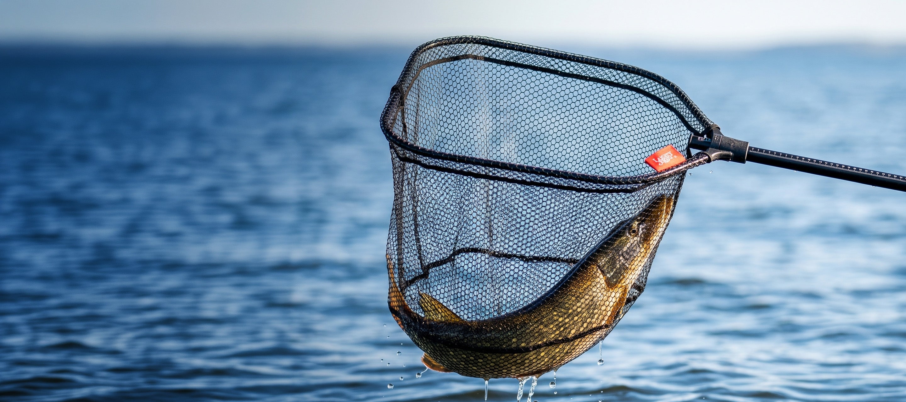 A fishing net with a black mesh body and a black handle, holding a fish over blue water.