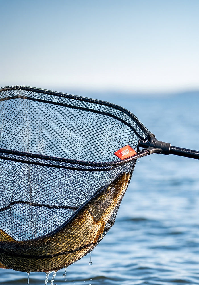 A close-up of a fishing net with a freshly caught fish, set against a blurred background of blue water and sky.